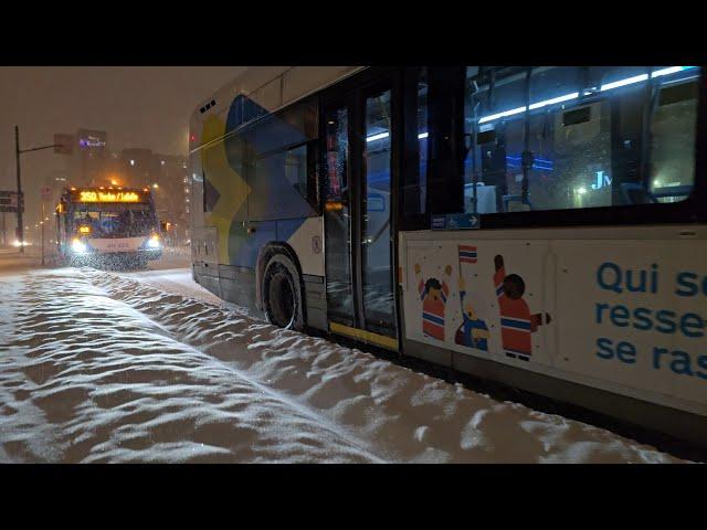 Montreal overnight bus ride: STM night route 350: Verdun/LaSalle - going west during snowfall ️