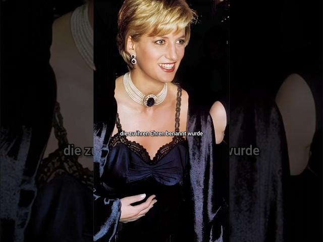 Prinzessin Diana hat Angst vor einer PeinlichkeitPrinz William