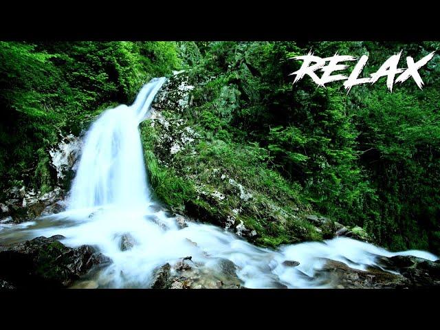 Music by Relaxing  Meditation  Relax Clips