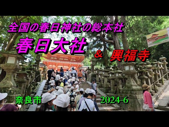 春日大社と興福寺 (奈良県、2024-6）