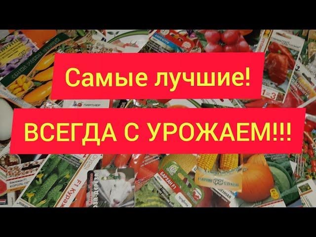 Самые урожайные сорта!//Рекомендовано к просмотру!