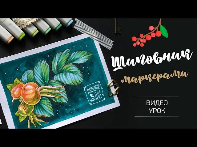 · Скетчинг спиртовыми маркерами · Рисуем шиповник · Видеоурок ·