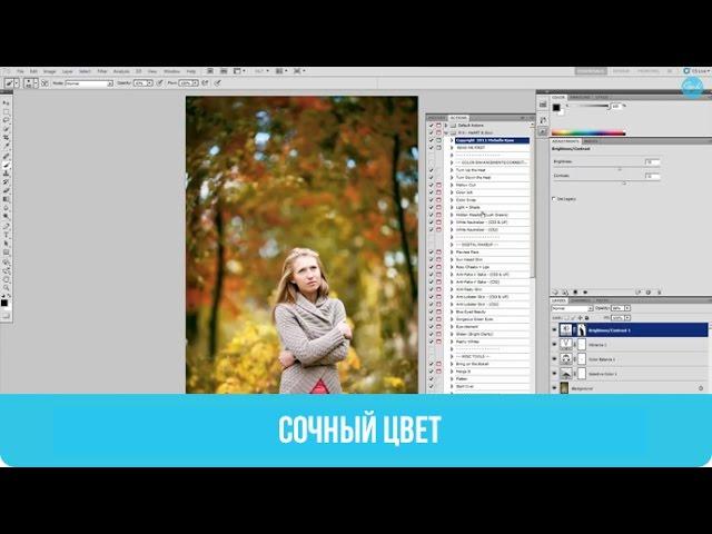 Цвет наше всё   |   Сочный цвет