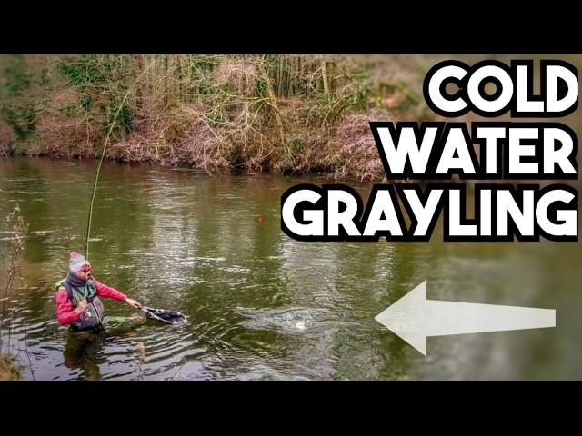 Indicator Fly Fishing For Winter Grayling