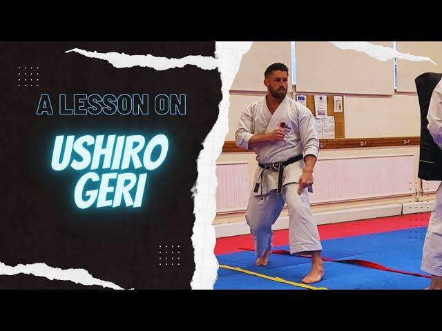 A lesson on Ushiro Geri (Back kick)