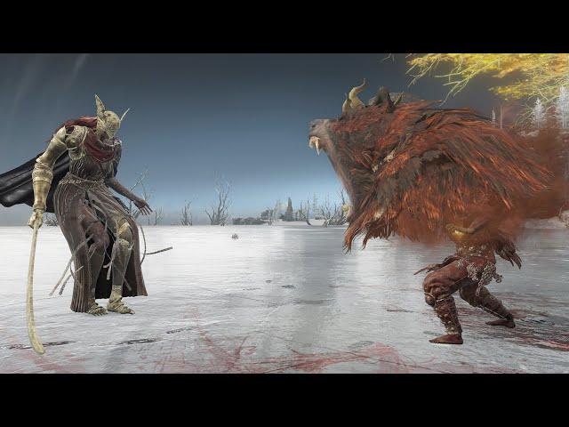 Red Bear (NPC) Vs Old Bosses - Elden Ring Shadow of the Erdtree