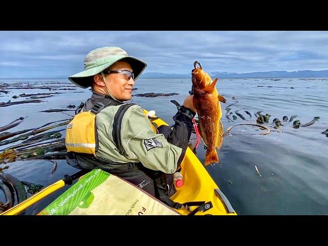 Kayak fishing for Kelp Greenling and Flounder