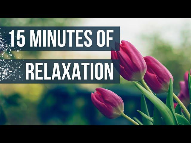 15 Minutes of Relaxing Music and Gorgeous Floral Scenery