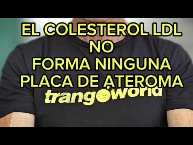 El Colesterol LDL no guarda relación con la placa de ateroma. Lean Mass Hyper Responder. Keto Trial