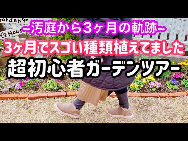 【ガーデニング】ゼロからの庭作り️3ヶ月で植えた花の種類を数えてみました