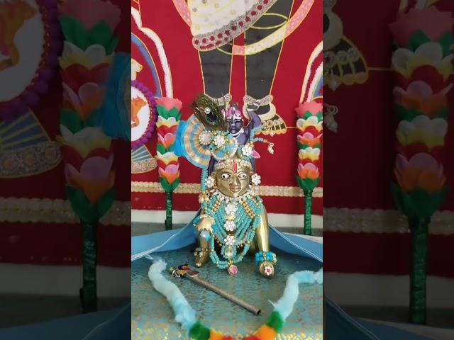 Shrinathji Zankhi#Krishna#Madan Morari#keshav#