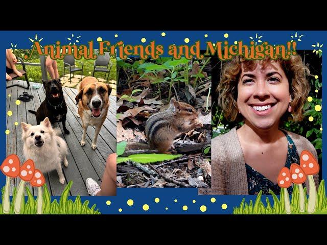 ️Chipmunks, Dogs and Birds!!️ Cozy stuff and an escape to Michigan!