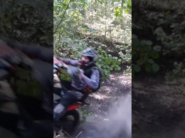 ENDURO REX