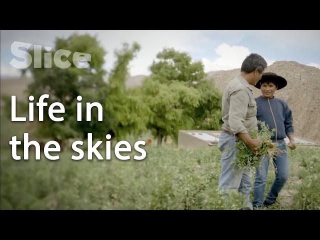 Living in the Andes Mountains | SLICE