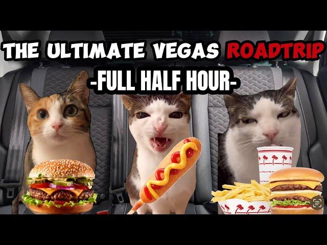 CAT MEMES: THE ULTIMATE FAMILY ROADTRIP HALF HOUR COMPILATION