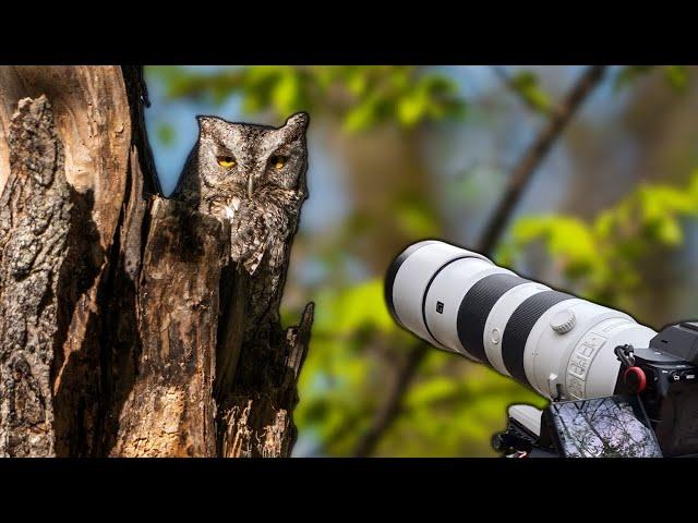 Spring Discoveries: A Wildlife Photography Adventure