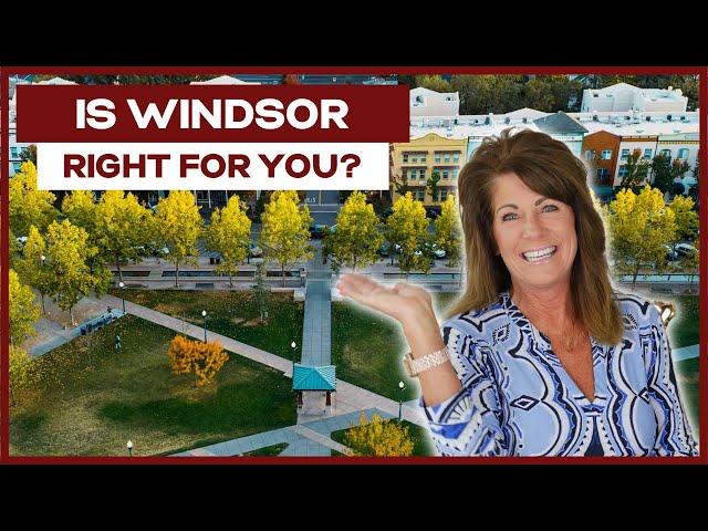 7 Reasons Not to Move to Windsor [EVERYTHING YOU NEED TO KNOW] Living in Sonoma County, CA