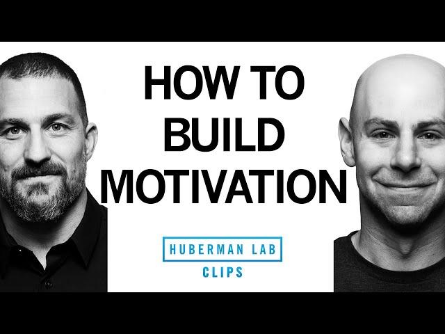 How to Get Motivated About Things You Don't Want to Do | Dr. Adam Grant & Dr. Andrew Huberman