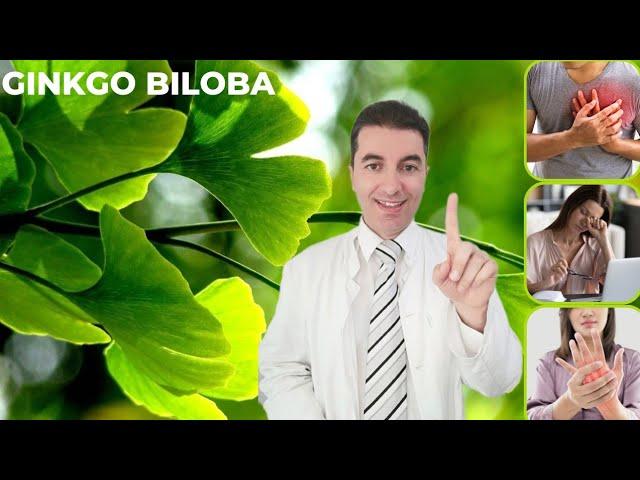 GINKGO BILOBA - nevjerojatne zdravstvene blagodati!