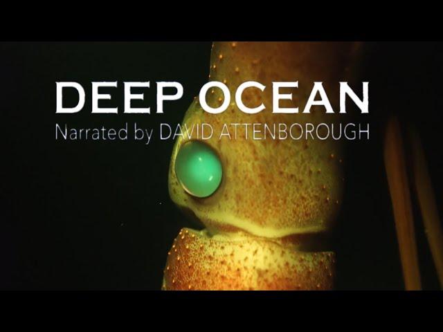 David Attenborough | Monterey Bay | Deep Ocean | Life in the Abyss