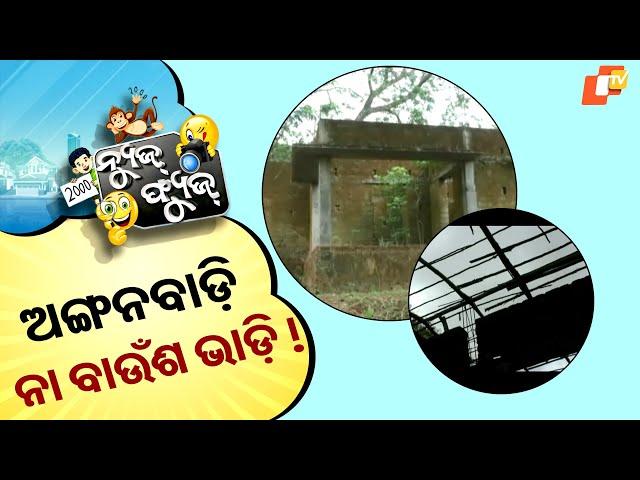 News Fuse 17 JUNE 2025
