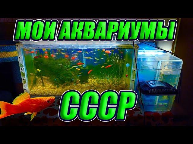 Мои аквариумы СССР, которым более 50 лет