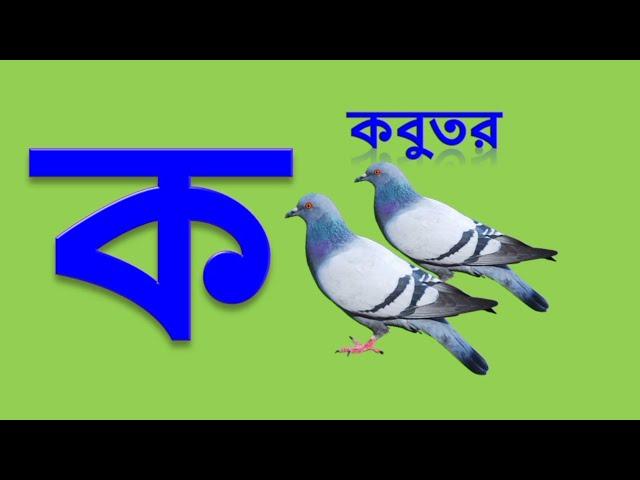 ক খ গ ঘ ঙ চ ছ জ ঝ ঞ | কখগ ব্যঞ্জনবর্ণ | Bangla Alphabet | Bangla Bornomala | ব্যঞ্জনবর্ণ ক খ গ ঘ ঙ