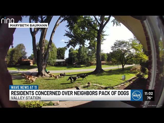 Valley Station residents frustrated, concerned over neighbors dogs