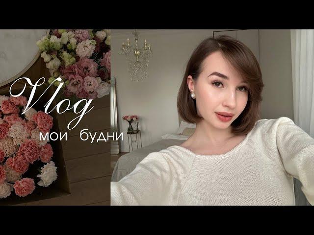 february vlog | моя московская рутина