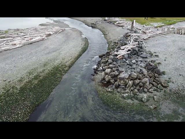 Sandy Point Marina entrance at record low tide. (Full Version)