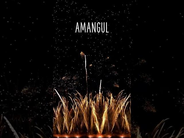 BON ANNIVERSAIRE AMANGUL !