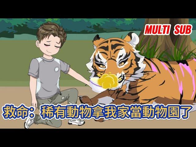 都市动画 | 《救命：稀有動物拿我家當動物園了》厭倦了大城市生活，我回到老家享受人生，意外獲得神奇吊墜，不僅能傾聽動物心聲，還能生產令動物瘋狂的靈水！#糖寶動畫