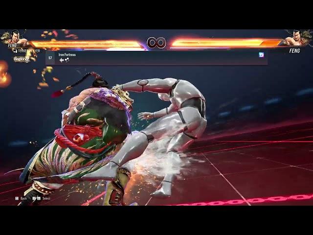 Tekken 8 - Feng Wei Full Move List (Launch Version)