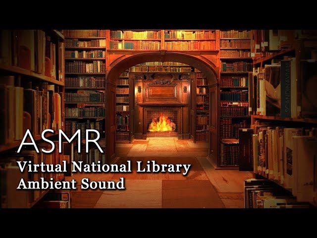 Warm and Cozy Virtual National Library Ambience Sound