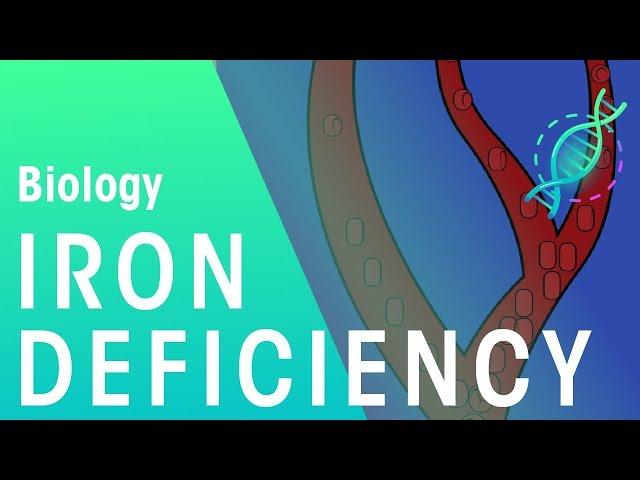 Iron Deficiency | Cells | Biology | FuseSchool