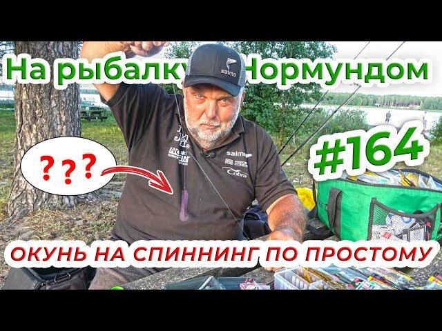 ДВЕ ОСНАСТКИ ДЛЯ ОКУНЯ - НА КОТОРЫЕ ПОЙМАЮТ ДАЖЕ ДЕТИ! / На рыбалку с Нормундом #164