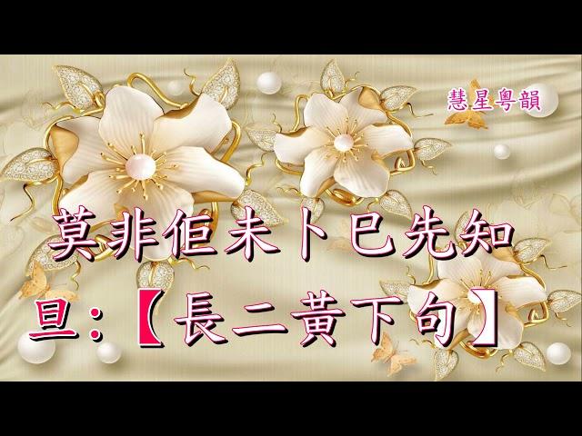 金枝玉葉  黃德正 張琴思演唱    楊石渠撰曲