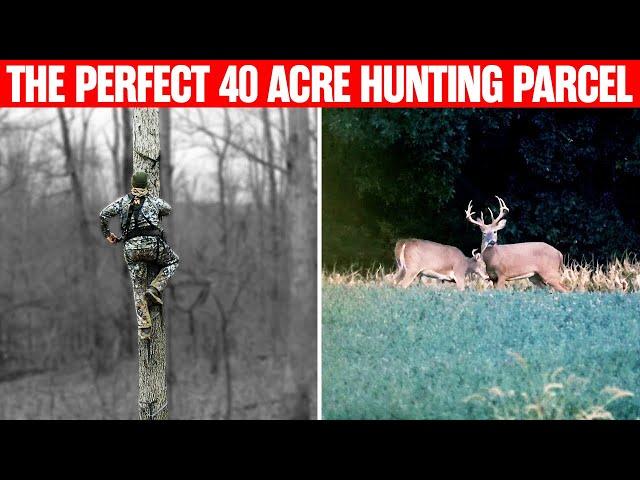 Small hunting property? 3 secrets for BIG BUCK success!