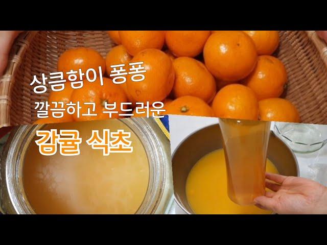 전통발효식초 - 9/ 귤식초만들기/깔끔하고 상큼하게 풍부한 맛과 향 그대로 귤식초 /