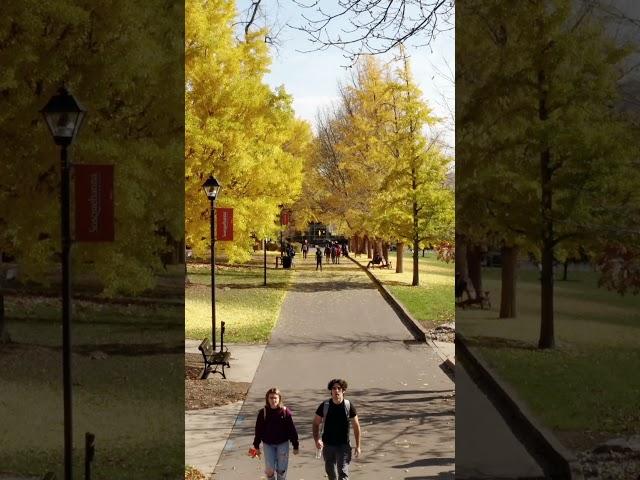 That Susquehanna University Magic