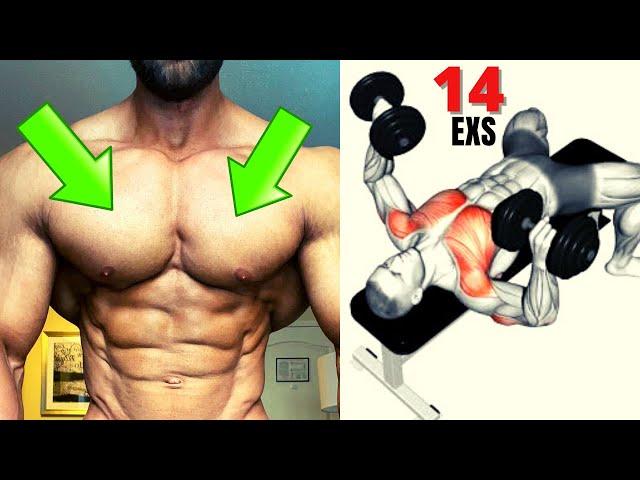 14 CHEST EXERCISES WITH DUMBELLS / les meilleurs exs musculation pectoraux avec haltères .