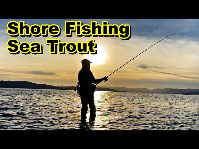 FISH FEEDING FRENZY - Catching Sea Trout Using The Bombarda Setup