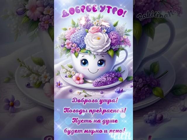 Доброго и чудесного утра и счастливого дня!