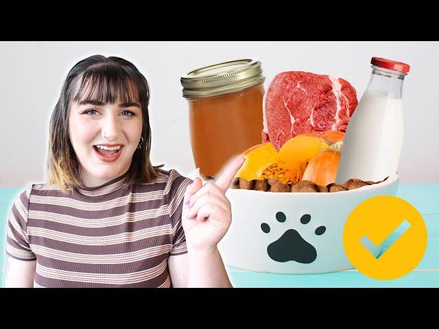 Upgrade Your Kibble INSTANTLY! | Toppers for Cats and Dogs