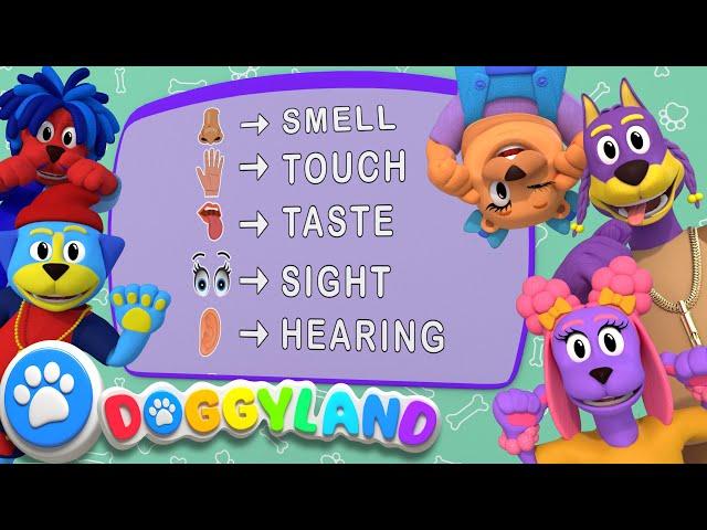 We Have Five Senses | Doggyland Kids Songs & Nursery Rhymes by Snoop Dogg