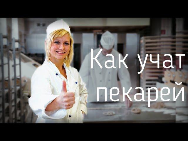 Как учат пекарей? Первые дни работы в пекарне № 3