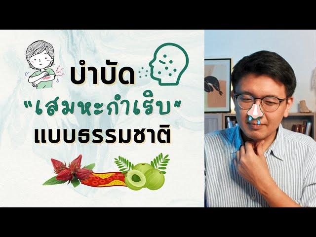 "เสมหะกำเริบ" น้ำมูกไหล ไซนัสบวม จมูกตัน แก้ได้ - หมอนัท Live