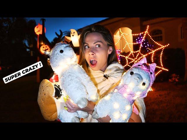 CRAZY Little Llamas First EVER Trick-Or-Treating !! *spooky*