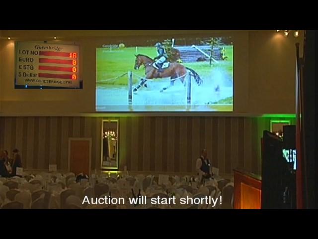 Goresbridge Go For Gold Select Sale Of Eventers Live Stream