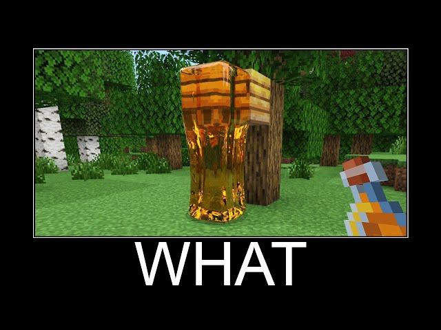 Minecraft realistic wait what meme, Lava, Water, Slime #472